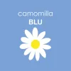 Camomilla