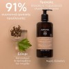 Apivita Dry Dandruff Shampoo (500ml) - Σαμπουάν Κατά της Ξηροδερμίας με Σέλερι & Πρόπολη